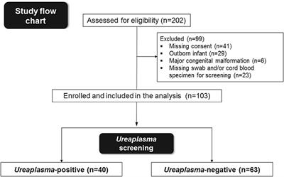 Perinatal <mark class="highlighted">Ureaplasma</mark> Exposure Is Associated With Increased Risk of Late Onset Sepsis and Imbalanced Inflammation in Preterm Infants and May Add to Lung Injury